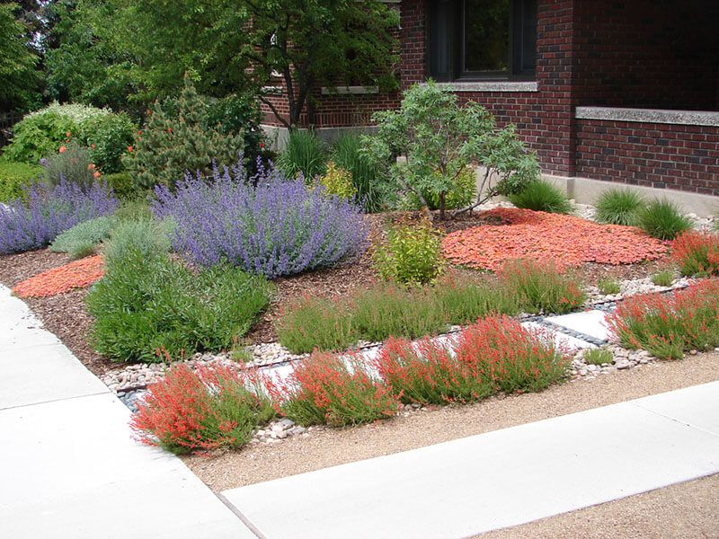 The Best Tucson AZ Yard Landscape Design Ideas - Shrubhub