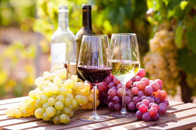 A Full Guide to Growing Grape Vines - Shrubhub