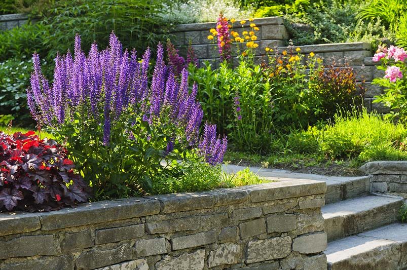 Crafting Your Own Wellness Garden for a Healthier Lifestyle - Shrubhub