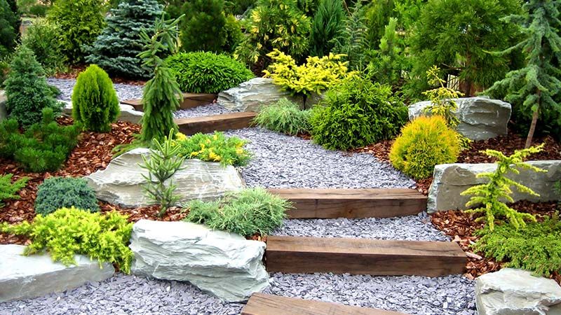 Embrace the Ease: Designing a Low Maintenance, No Grass Front Yard - Shrubhub