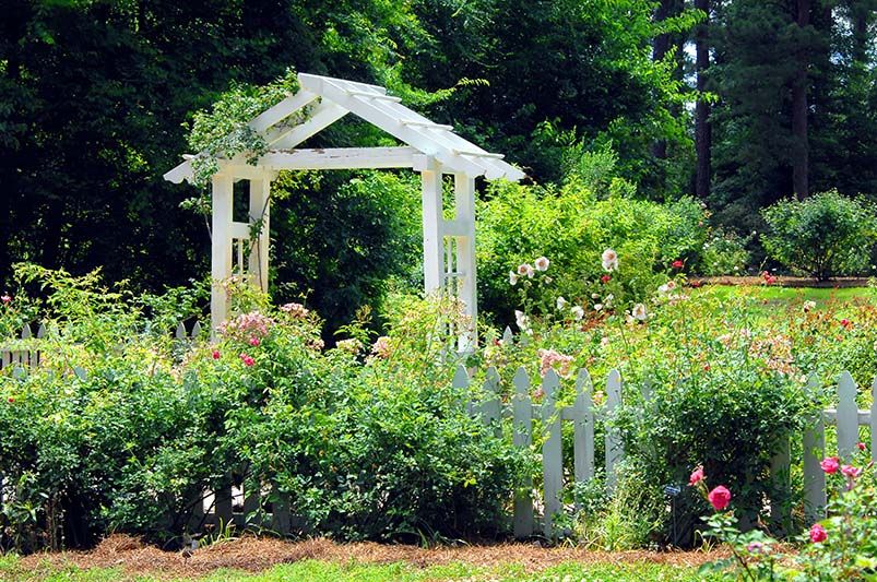 Gardening in Louisiana: Landscape Design Ideas for a Wow-Worthy Yard - Shrubhub