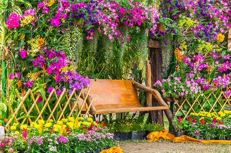 Flower Power: Hedging Flowering Plants for Year-Round Color and Vibrancy - Shrubhub