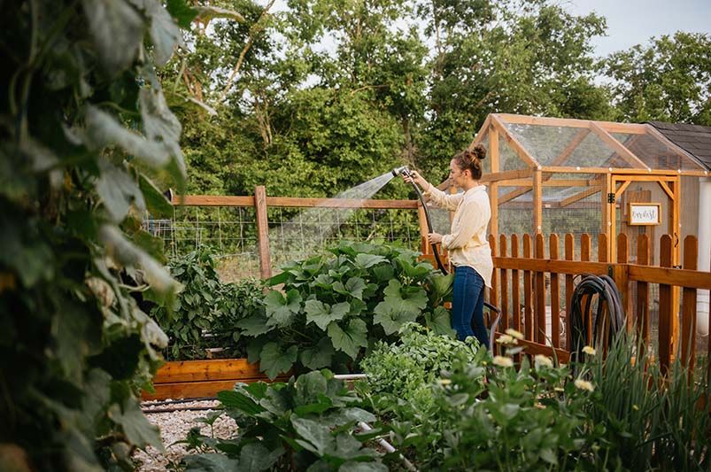 Maximizing Your Vegetable Garden in Massachusetts - Shrubhub