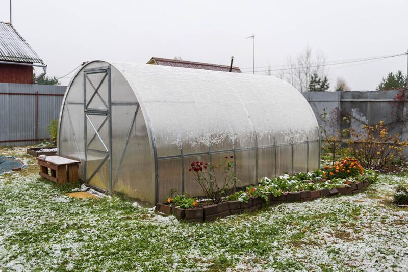 a hoop house with snow on top surrounded by plants