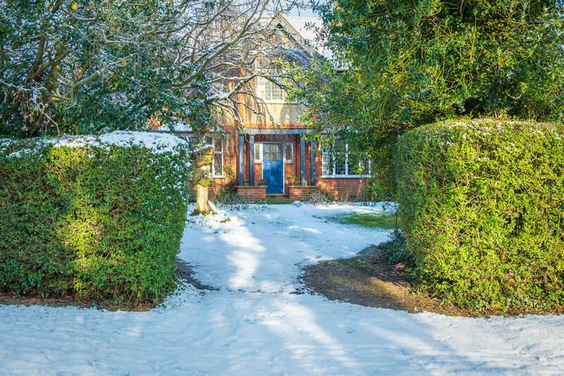 Winter Landscaping Tips: 15 Ways to Winter Proof Your Yard - Shrubhub