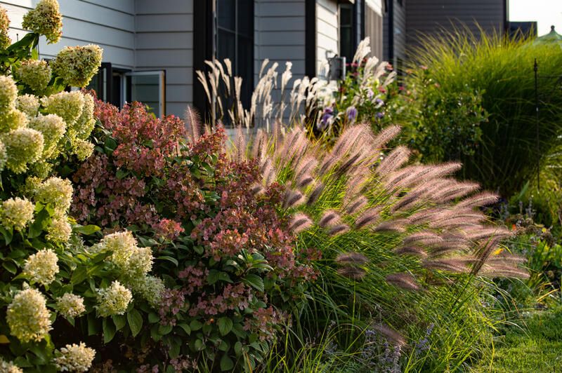 Winter Landscaping Tips: 15 Ways to Winter Proof Your Yard - Shrubhub