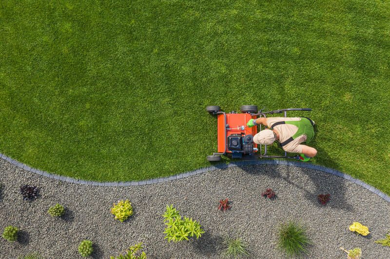 Winter Landscaping Tips: 15 Ways to Winter Proof Your Yard - Shrubhub