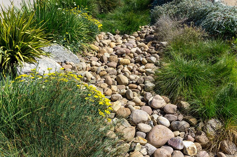6  Creative Rock Garden Ideas to Bring Nature Home - Shrubhub