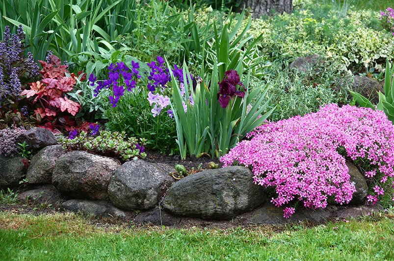 6  Creative Rock Garden Ideas to Bring Nature Home - Shrubhub