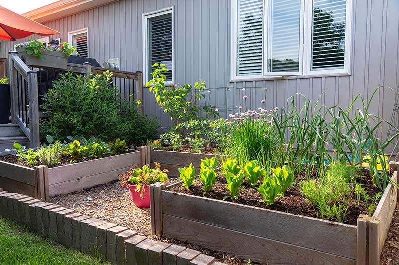 How To Make The Most Out Of Your Small Yard Landscaping Ideas - Shrubhub
