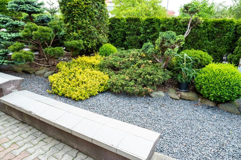 How To Create Low-maintenance Georgia Landscaping That Offers A Stunning View - Shrubhub