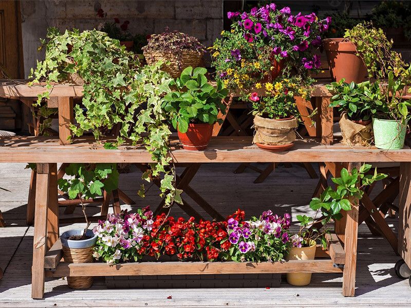 Learn How To Start Your Farmhouse Landscape Design With 7 Easy Ideas - Shrubhub