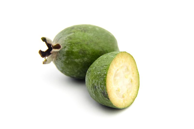 Bring a Slice of The Tropics To Your Backyard With Guava Trees.  - Shrubhub