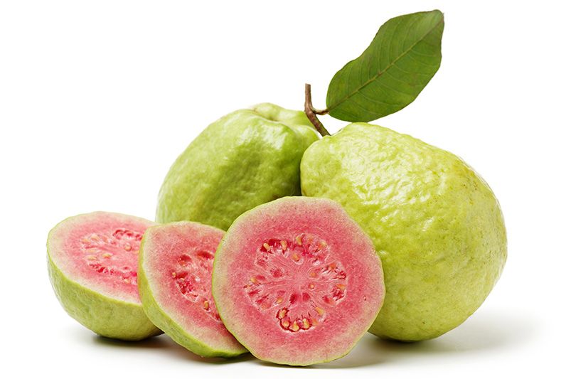 Bring a Slice of The Tropics To Your Backyard With Guava Trees.  - Shrubhub