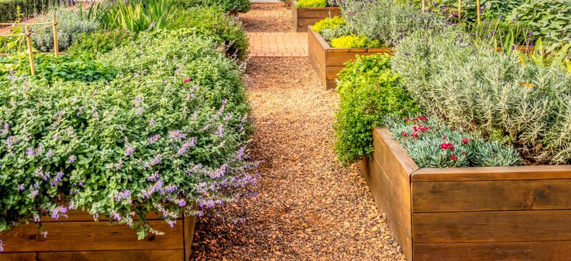 Affordable and Functional Gravel Ideas for Your Yard - Shrubhub