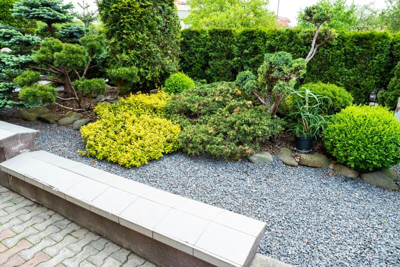 Affordable and Functional Gravel Ideas for Your Yard - Shrubhub