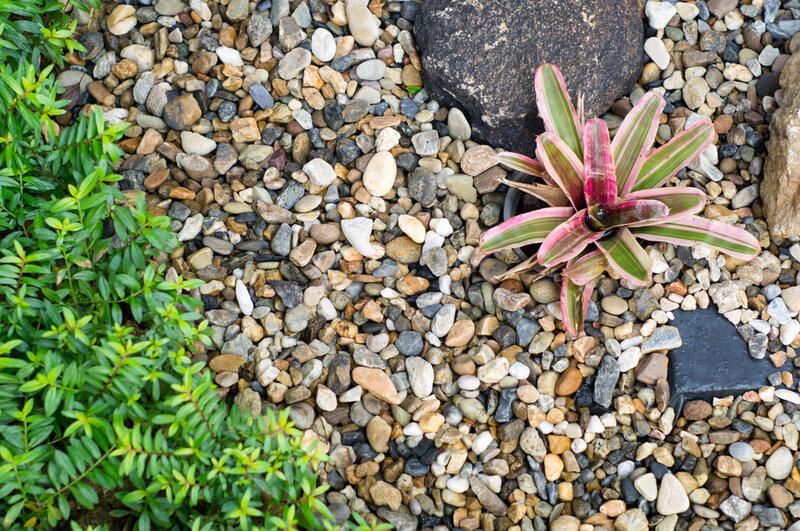 Affordable and Functional Gravel Ideas for Your Yard - Shrubhub