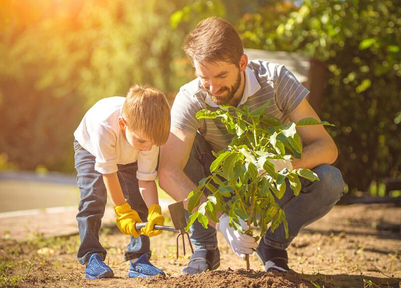 Designing a Climate Friendly Yard - Shrubhub