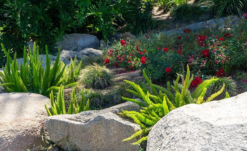 Designing a Climate Friendly Yard - Shrubhub