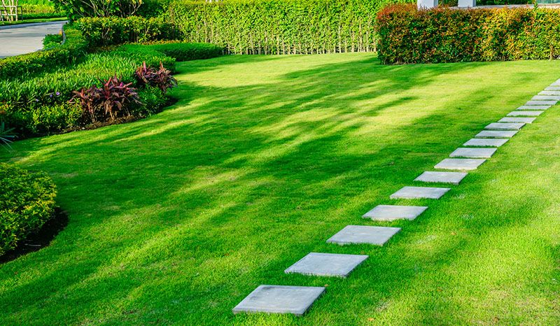 Design ideas for beautiful yards and granted return Investment! - Shrubhub