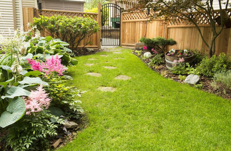 Affordable Landscaping for a Modern Home