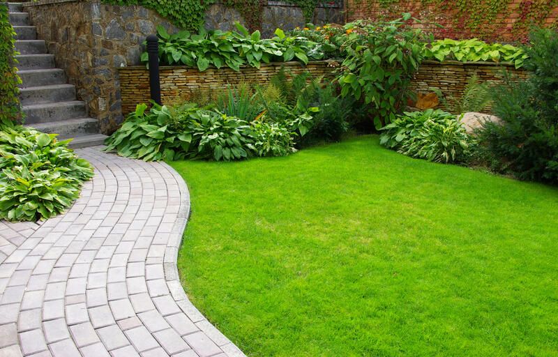 Affordable Landscaping for a Modern Home - Shrubhub