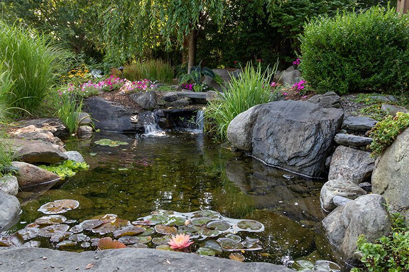 Backyard Landscaping Ideas: Ultimate Guide for Every Home - Shrubhub