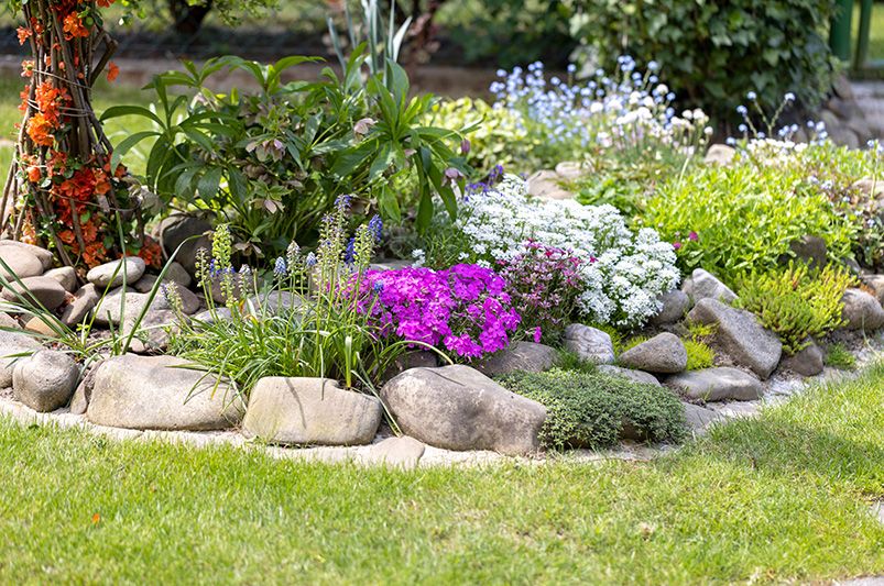 Commercial Lawn Care Alhambra thumbnail
