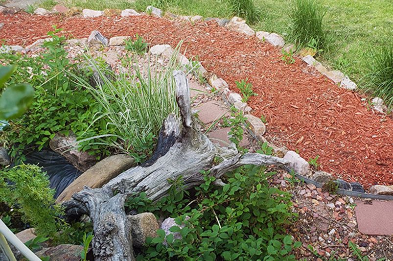 Transform Your Space: Outdoor Pathways Ideas - Shrubhub