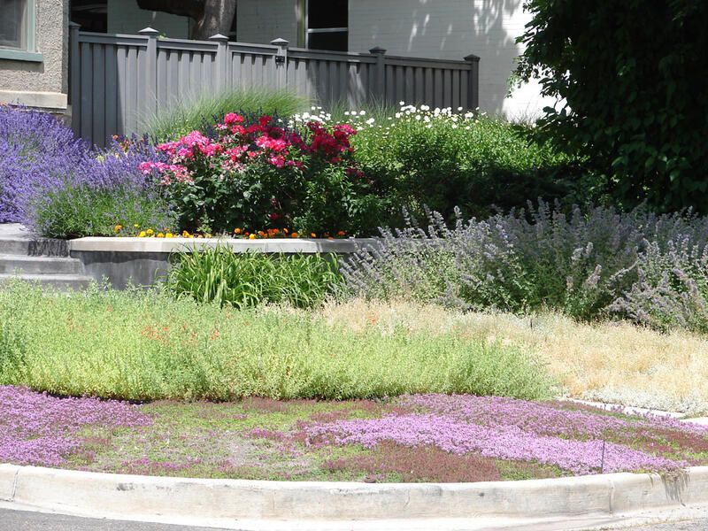 Texas Landscape Design: Tips for The Best Landscaping Practices - Shrubhub