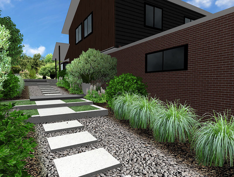 3d rendering of a backyard design