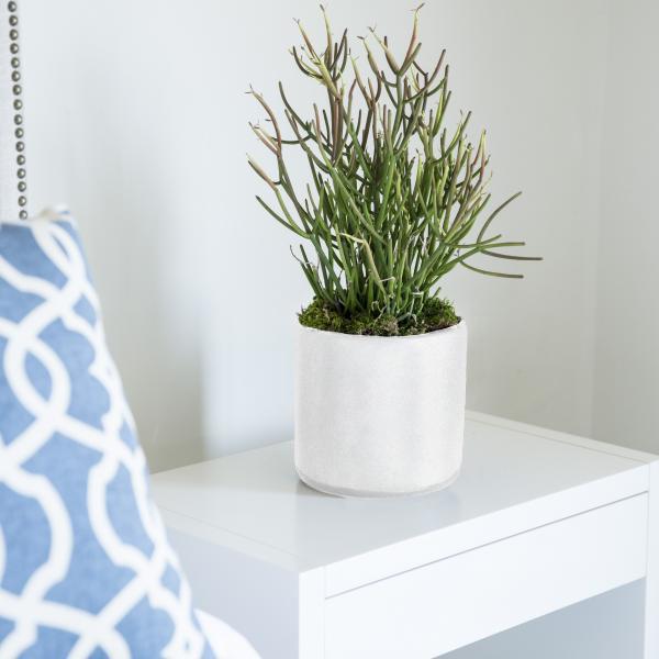 Sticks On Fire With Small Pot image