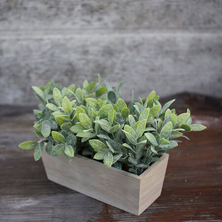 Artificial Thyme Rectangle Planter image