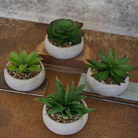 Artificial Succulents Round Cement Pots image