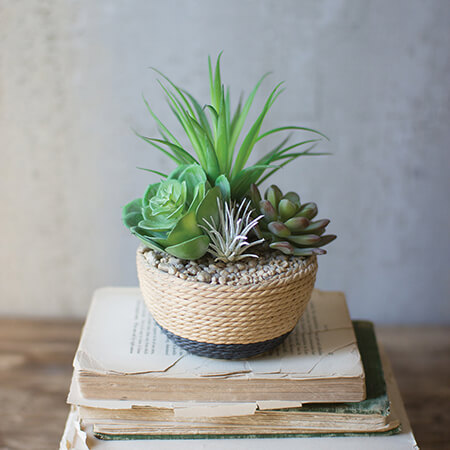 Assorted Succulents In Rope Pot image