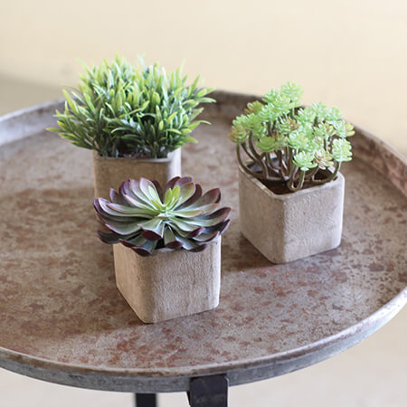 Small Artificial Succulents Square Pots image