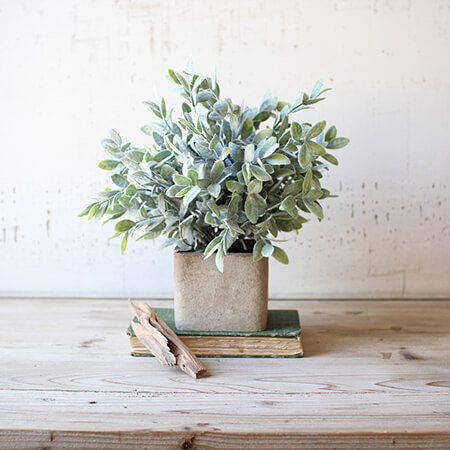 Artificial Sage Bush Square Pot image