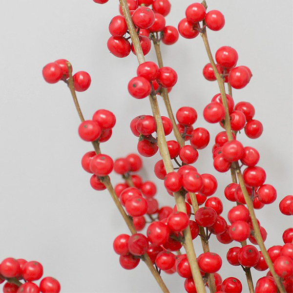 Magical Winter Jewel Winterberry Holly image