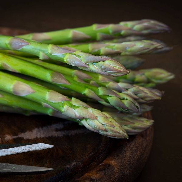 Jersey Knight Asparagus image