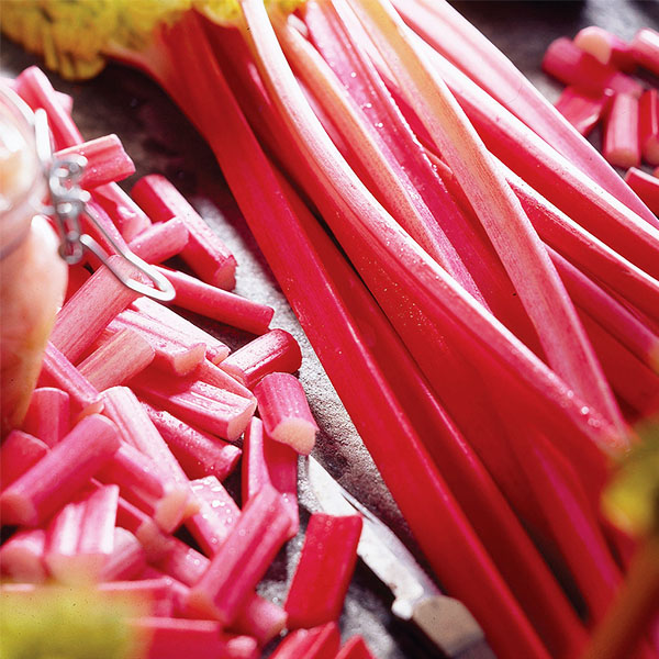 Chipmans Canada Red Rhubarb image