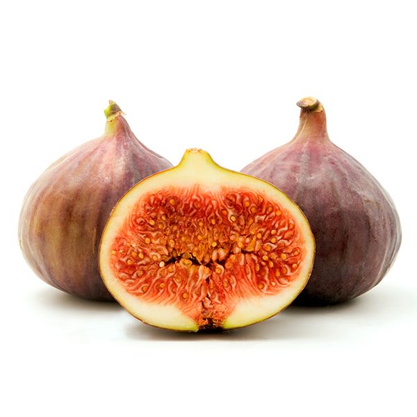 Brown Turkey Fig image