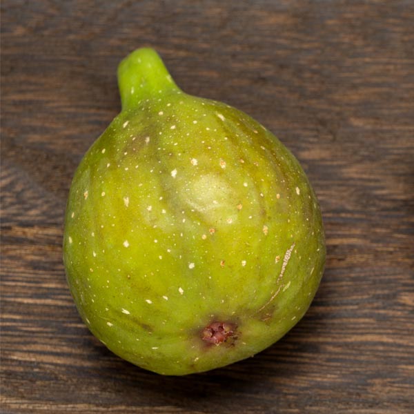 Desert King Fig image