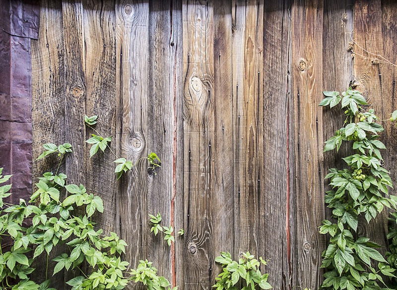 9 Unusual Yard Fencing Options - Shrubhub