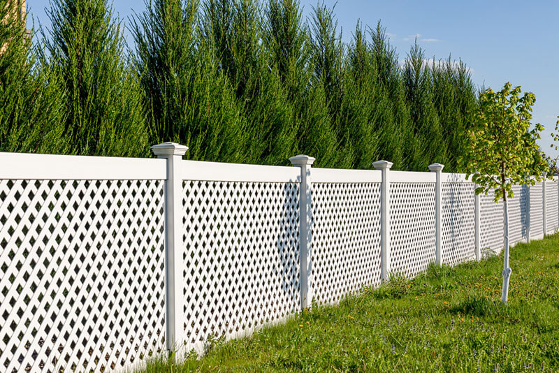 9 Unusual Yard Fencing Options - Shrubhub