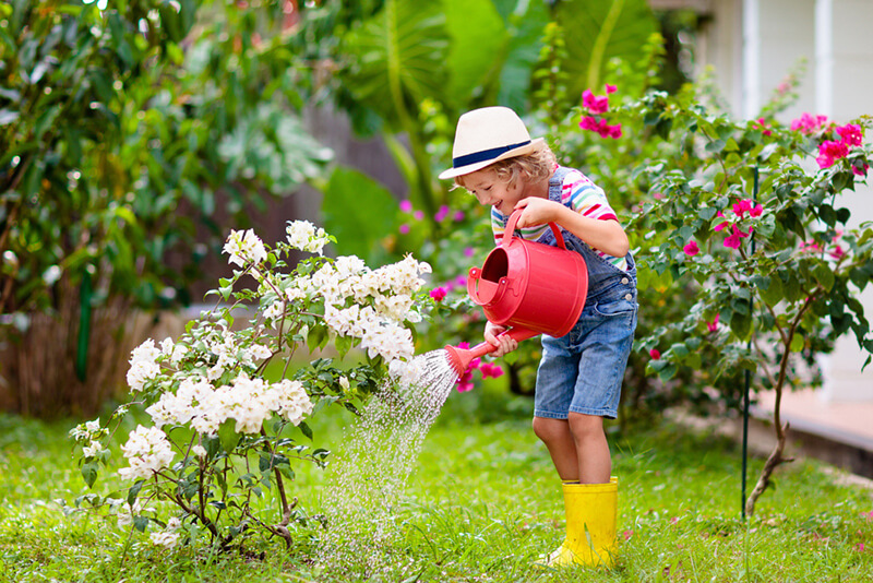 From Playhouses To Gated Pools: How To Create The Perfect Kid Friendly Yard - Shrubhub