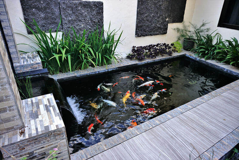 Hardscaping And Water Feature Design Tips for Your Outdoor Space - Shrubhub
