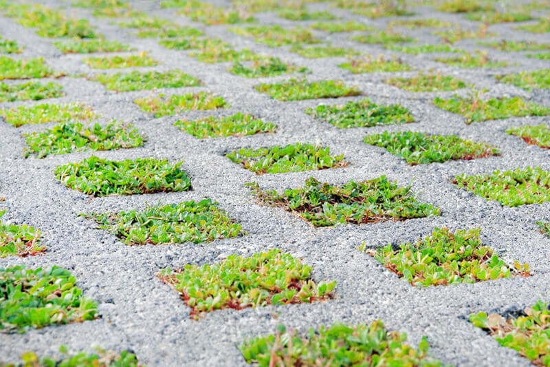 Permeable Surface