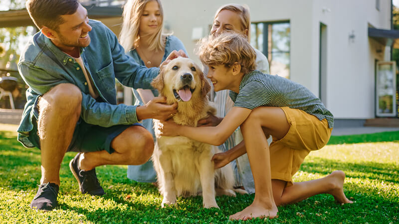 Planning The Ultimate Pet Friendly Yard Design - Shrubhub