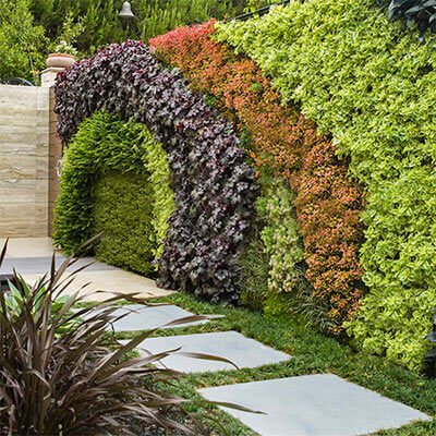 Professionally Landscaped Themes to be Inspired By. Find new ideas with our previously designed yards.