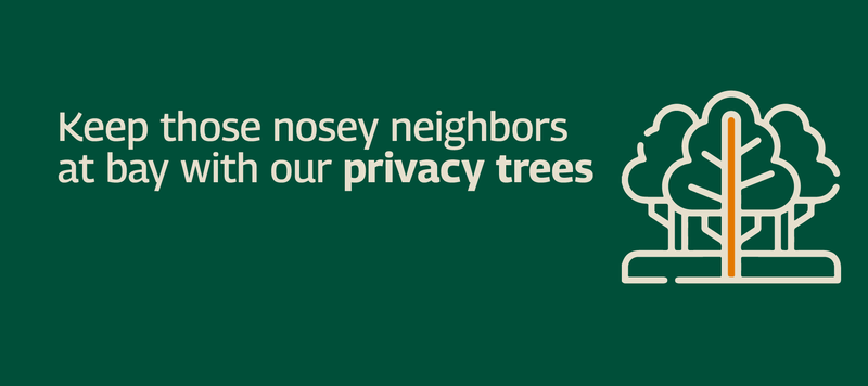 Privacy Trees